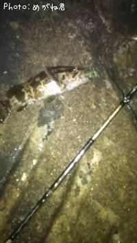 �����Υ���Х�