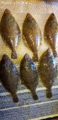 ¥à¥·¥¬¥ì¥¤