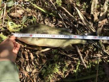 ¥Ö¥é¥Ã¥¯¥Ð¥¹