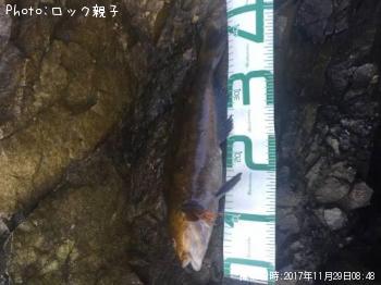 �����ʥ�