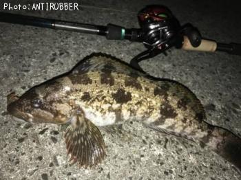 �����ʥ�