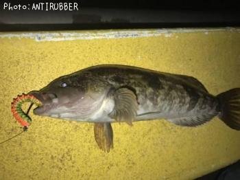 �����ʥ�