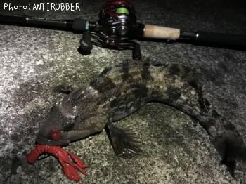 �����ʥ�