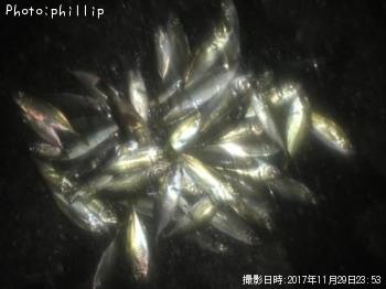 ����������������Х롢���