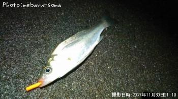 �����Х�