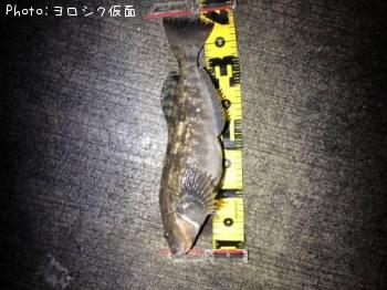 �����ʥ�