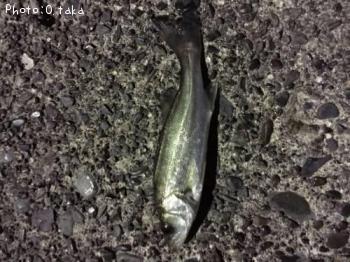 �����Х�