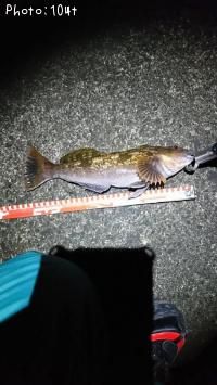 �����ʥ�