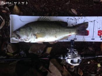 �֥�å��Х�