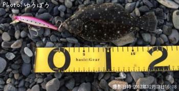 �ҥ��ʥ�����