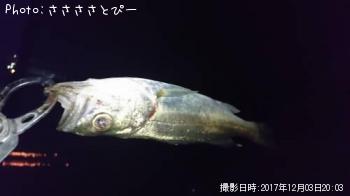 ��Х�������Х�