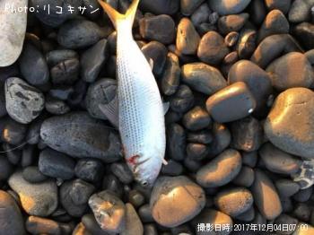 ���Υ���