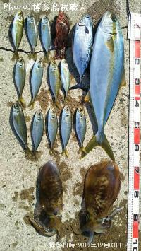 �ҥ�ޥ��ʼ���ˡ����������ĥ�����������������