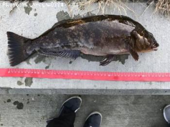 �����ʥ�