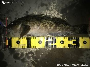 �����ʥ�