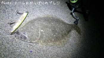 ¥Ò¥é¥á
