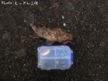 ¥¿¥±¥Î¥³¥á¥Ð¥ë