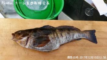 �����ʥ�