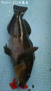 �����ʥ�