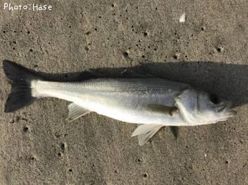 �����Х�