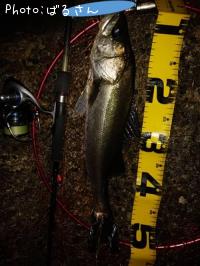 �����Х�