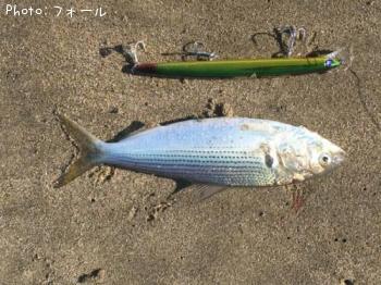 ���Υ���