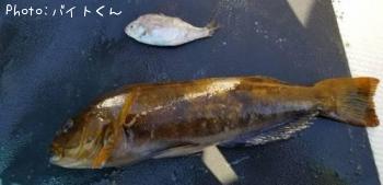 �����ʥ�