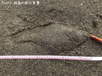 �������쥤