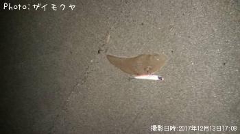 �����ӥ��