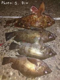 ����������Х�