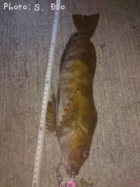 �����ʥ�