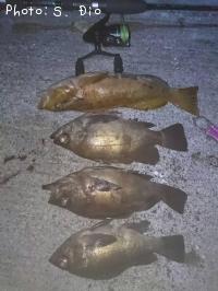 ��Х롢�����ʥ�