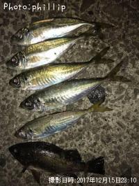 ��������Х�