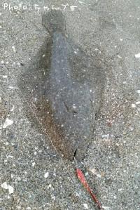 �ҥ��