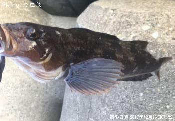 �����ʥ�