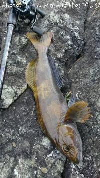 �����ʥ�