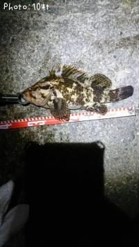 �����Υ���Х�