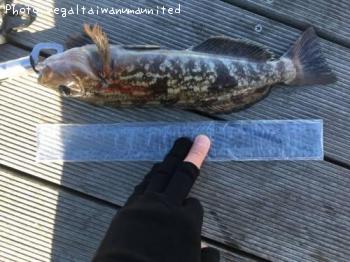 �����ʥ�