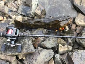 �����ʥ�