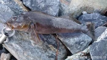 �����ʥ�