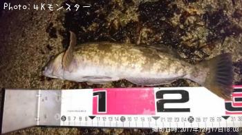 �����ʥ�