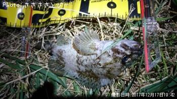 �����������Х�