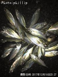 ��������Х�