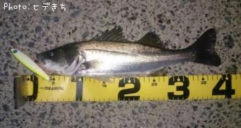 �����Х�