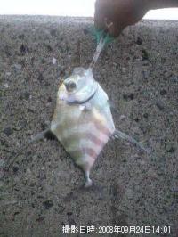 ���ȥҥ�����