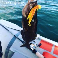 �����ʥ�