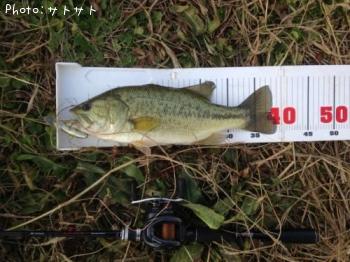 �֥�å��Х�