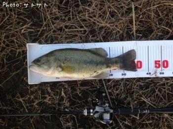 �֥�å��Х�