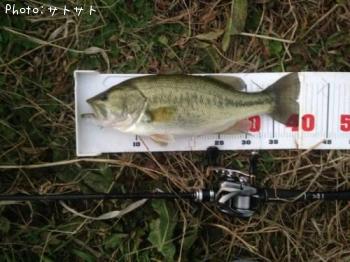 �֥�å��Х�