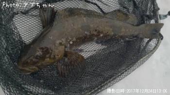 �����ʥ�